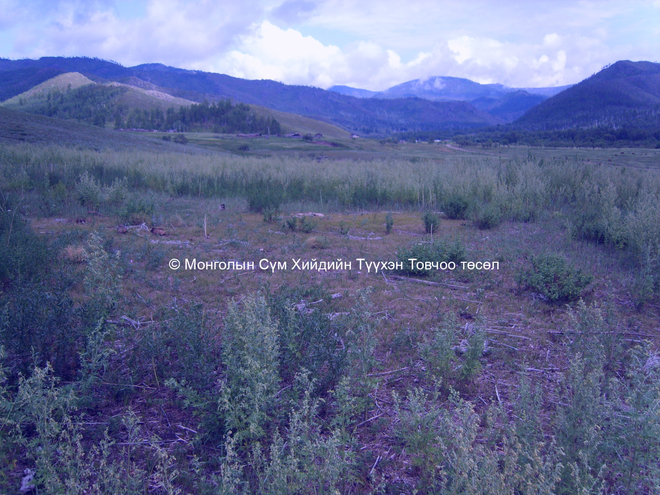 Өмнөд талаас авсан